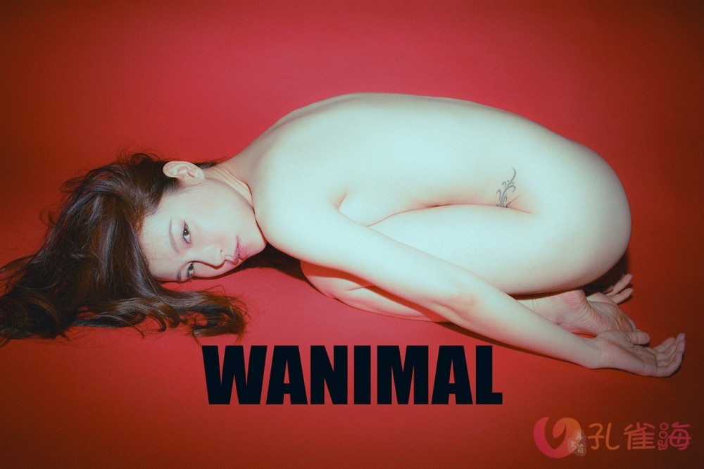 [合集]珍藏写真《WANIMAL王动》系列全套包含高清视频和套图，大小75.2G - 孔雀海|珍藏合集-孔雀海|珍藏合集