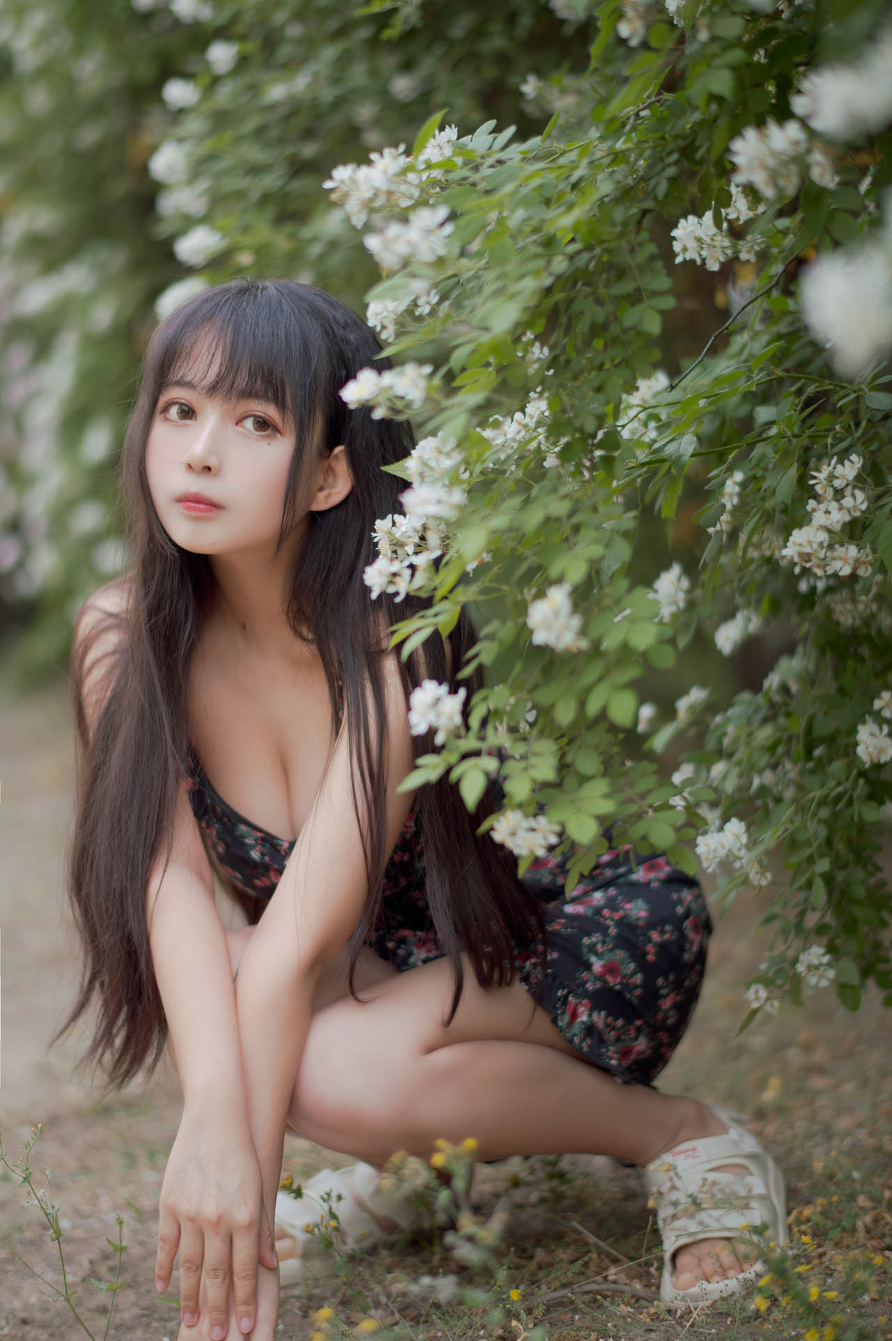 [合集]coser网红《黑猫猫》全套31期+随包视频，大小5.95G - 孔雀海|珍藏合集-孔雀海|珍藏合集